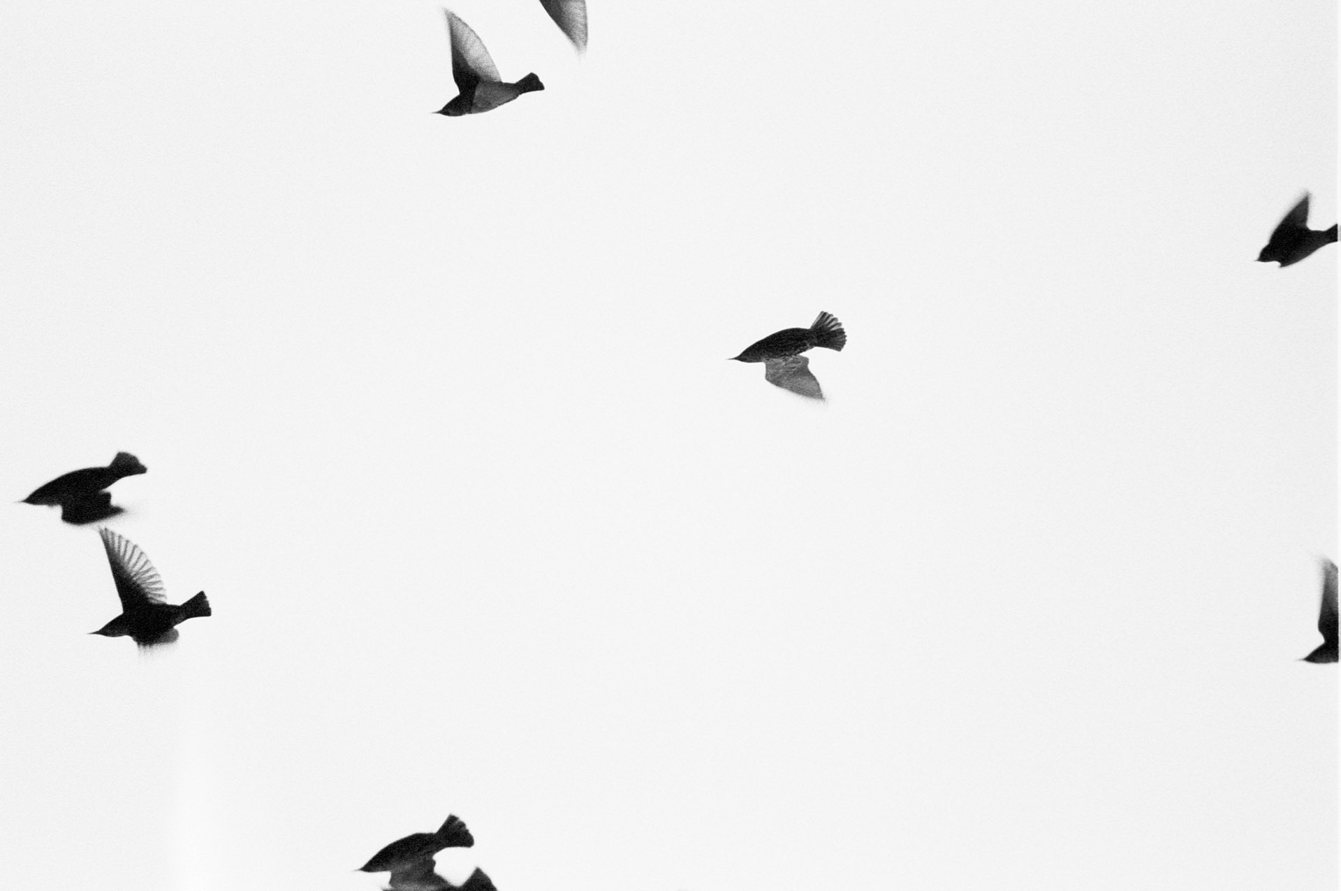 2024-05-24-PLUSTEKSCAN (3)